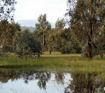 Landscape photo of Euroa Arboretum