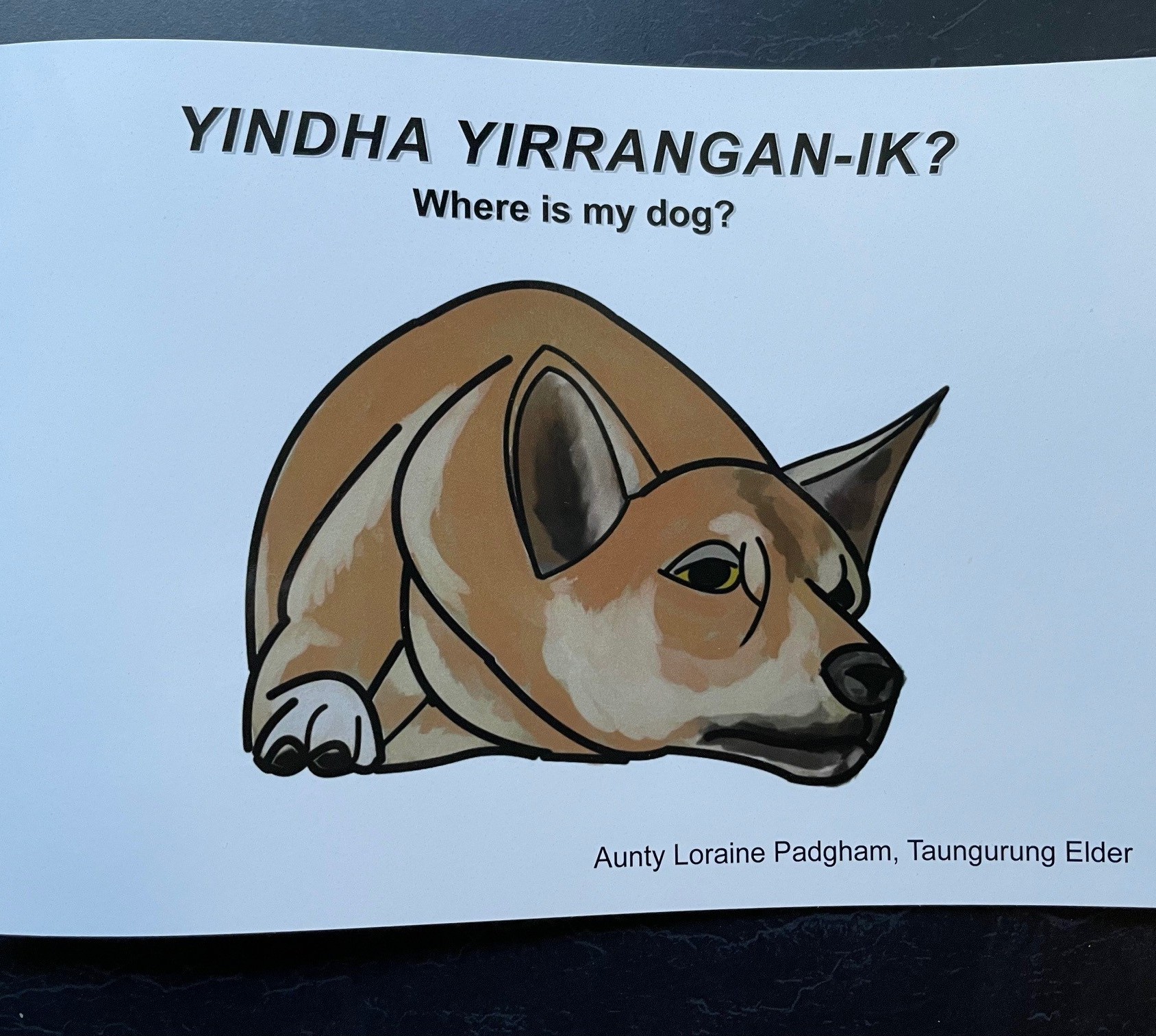 Yindha Yirrangan-ik - Children's Book